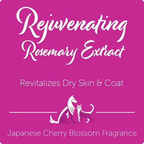 Nootie Japanese Cherry Blossom Rejuvenating Pet Shampoo