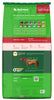 SafeChoice Special Care