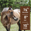 Safechoice All Life Stages