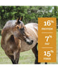 SafeChoice Mare & Foal