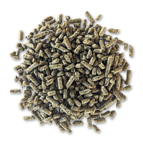 Bluebonnet Limited