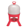 Little Giant Plastic Dome Waterer