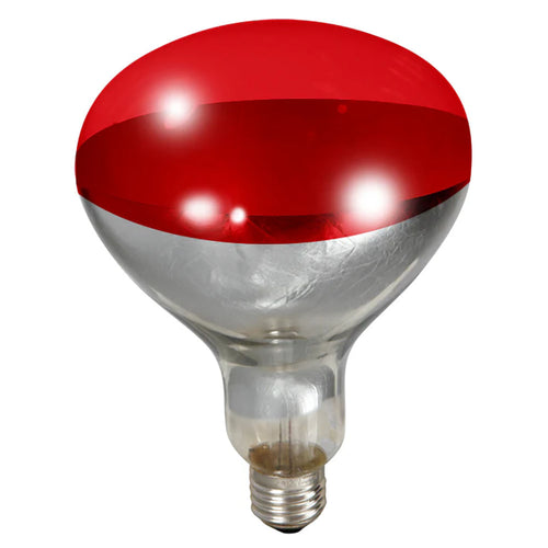 Red Heat Lamp Bulb 250W
