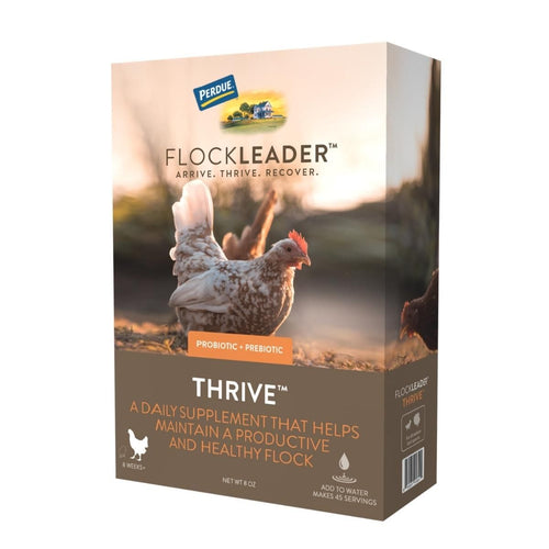 FlockLeader THRIVE