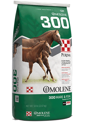 Purina® Omolene® #300 Mare & Foal