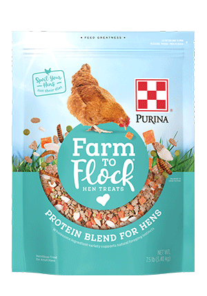Purina® Farm to Flock® Protein Blend Hen Treats