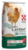 Purina® Layena®  19% High Protein