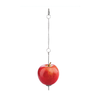 Little Giant Chicken Treat Skewer