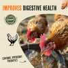 Roosty's Immunity & Digestion Booster