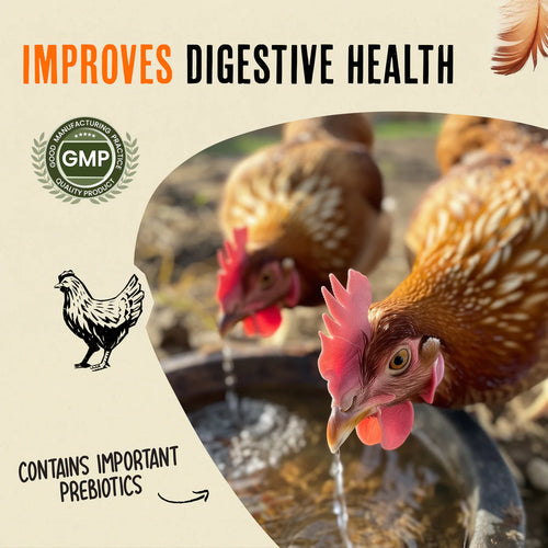 Roosty's Immunity & Digestion Booster