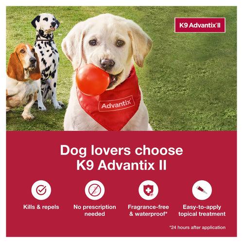 K9 Advantix II Flea, Tick & Mosquito Treatment & Prevention for Small Dogs