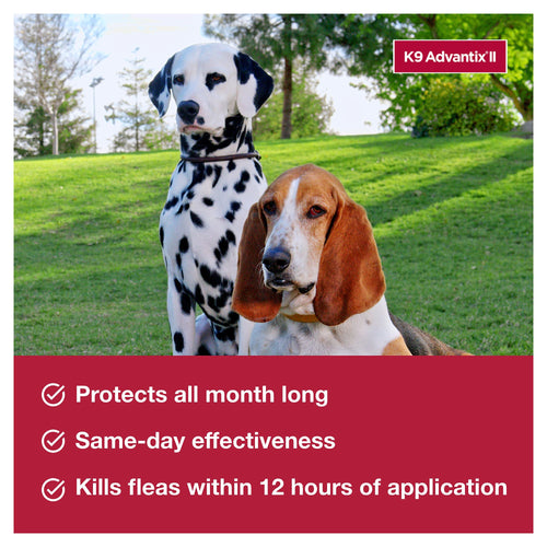 K9 Advantix II Flea, Tick & Mosquito Treatment & Prevention for Small Dogs