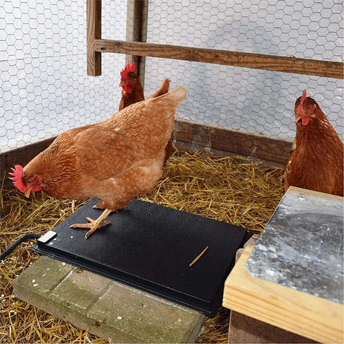 Farm Innovators Heated Chicken Mat