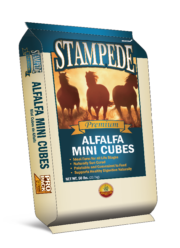 Stampede Alfalfa Hay Mini Cube