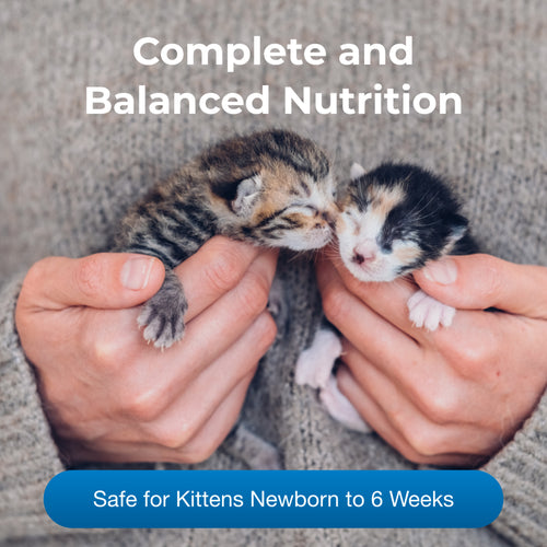 KMR® Kitten Milk Replacer Powder