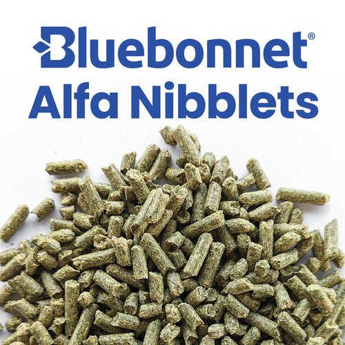 Bluebonnet Alfalfa Nibblets Pelleted Forage