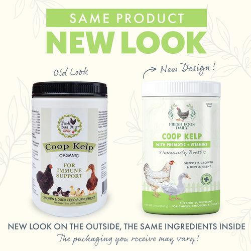 Fresh Eggs Daily Coop Kelp Feed Supplement