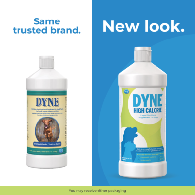 Dyne High Calorie Liquid Nutritional Supplement for Dogs Puppies Denton TX D L Farm and Home