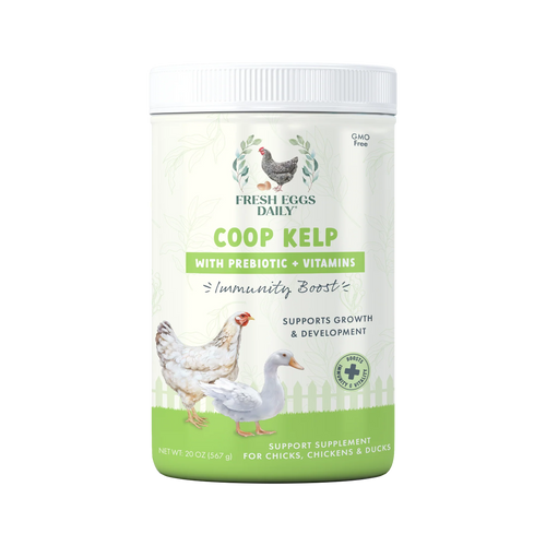 Fresh Eggs Daily Coop Kelp Feed Supplement