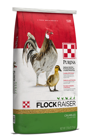 Purina® Flock Raiser® Crumbles
