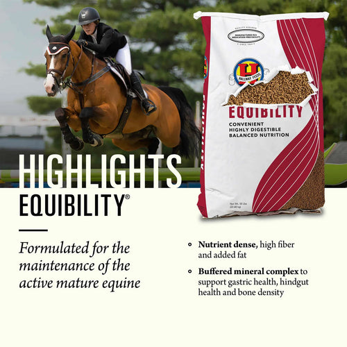 Hallway Equibility®