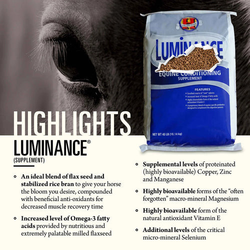 Hallway Luminance®