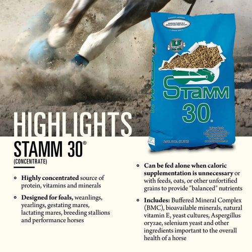Hallway Stamm 30®