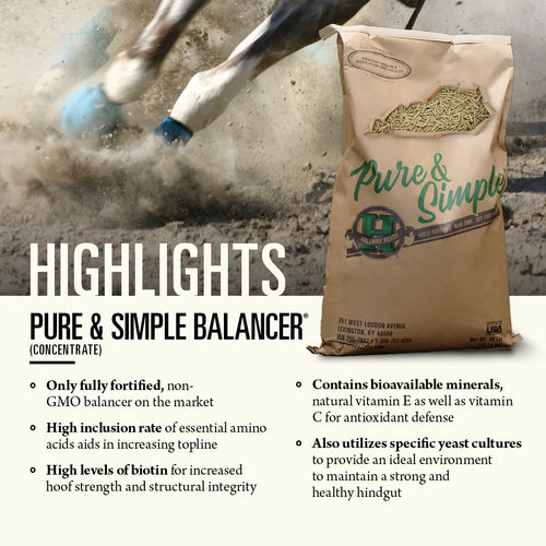 Hallway Pure & Simple® Balancer