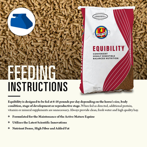 Hallway Equibility®