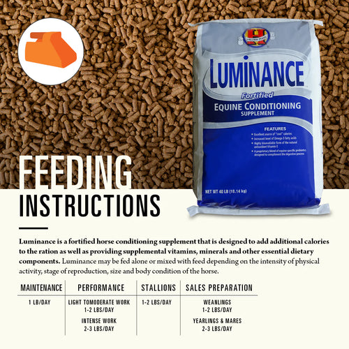 Hallway Luminance®