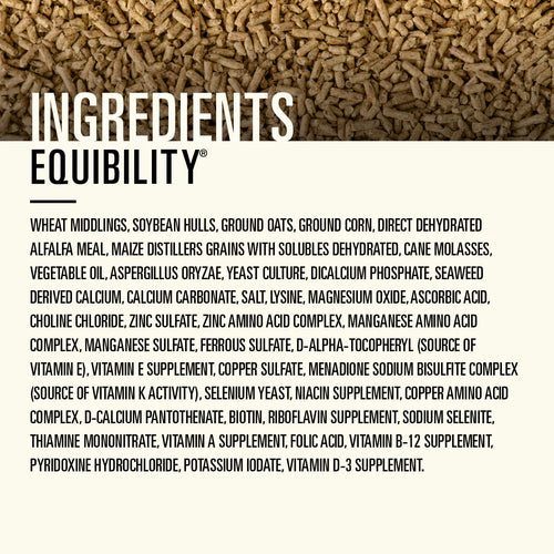 Hallway Equibility®