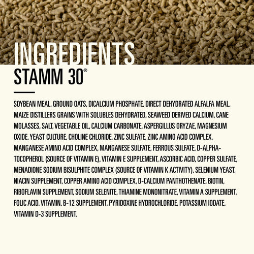 Hallway Stamm 30®