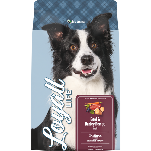 Loyall Life Adult Beef and Barley Recipe Dog Food