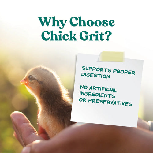 Manna Pro Chick Grit with Probiotics