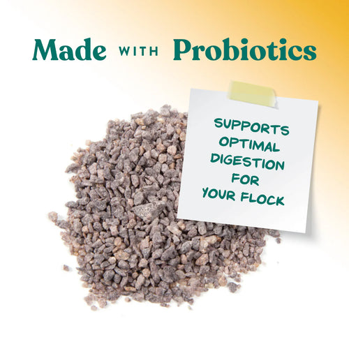 Manna Pro Chick Grit with Probiotics