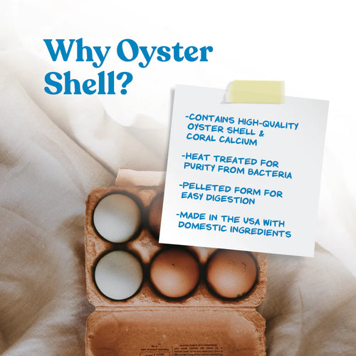MannaPro Oyster Shell