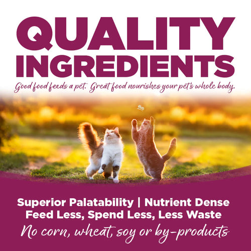NutriSource® Chicken & Rice Formula Wet Cat Food