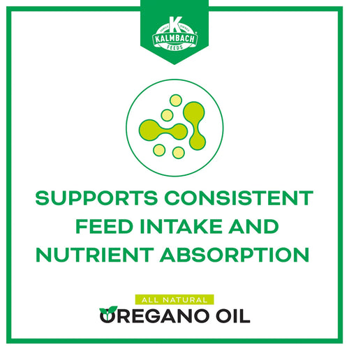 Kalmbach Oregano Oil Supplement for Poultry