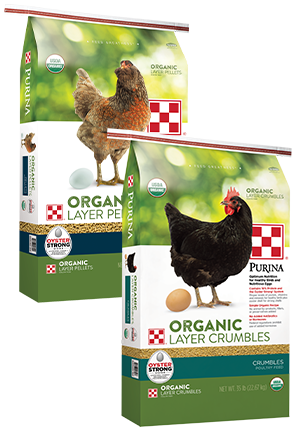Purina Organic Layer Pellets and Crumbles