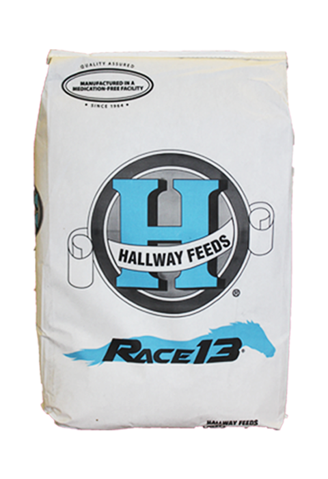 Hallway Race 13
