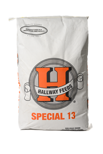 Hallway Special 13