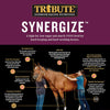 Tribute Synergize®