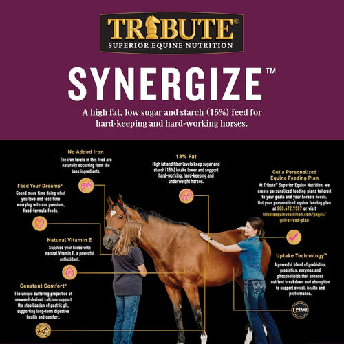 Tribute Synergize®
