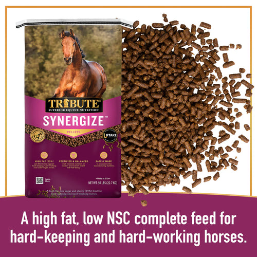 Tribute Synergize®
