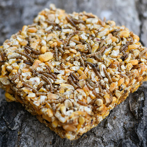 Happy Hen Treat Square Corn & Mealworm