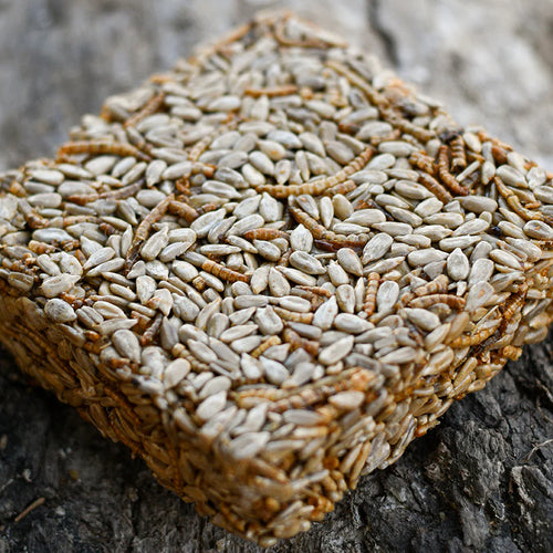 Happy Hen Treat Square Sunflower & Mealworm