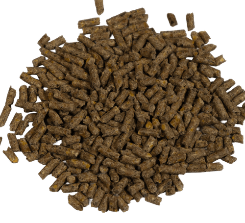 Big V 20% Hi-Pro Egg Pellet