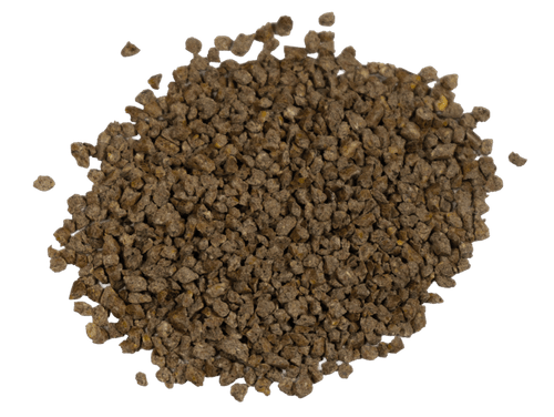 Big V 20% Complete Egg Kernel