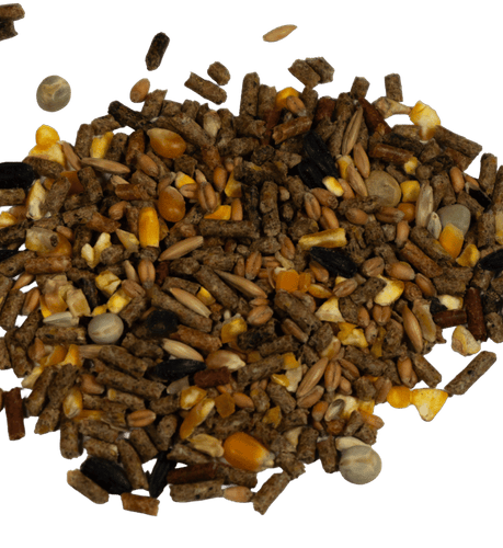 Big V Poultry Maximizer