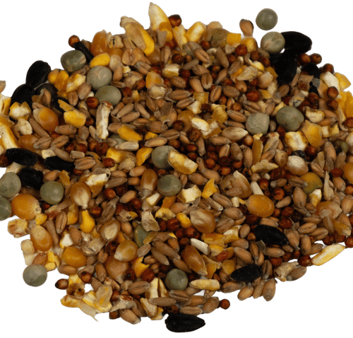 Big V Super Scratch Grain